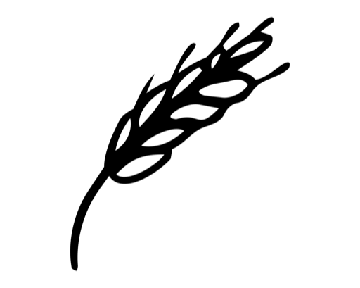 Espiga de trigo